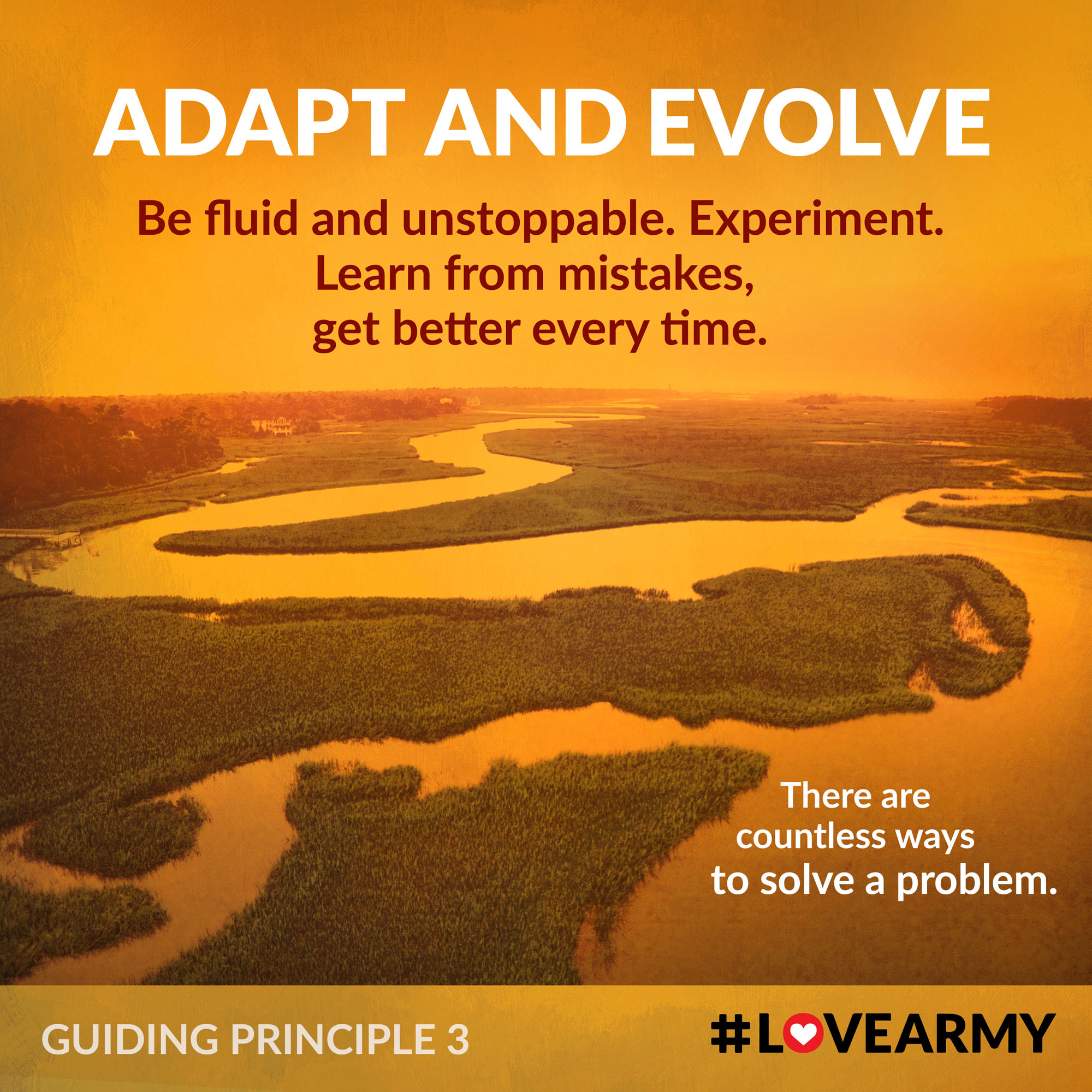 View Full Screen Adapt And Evolve