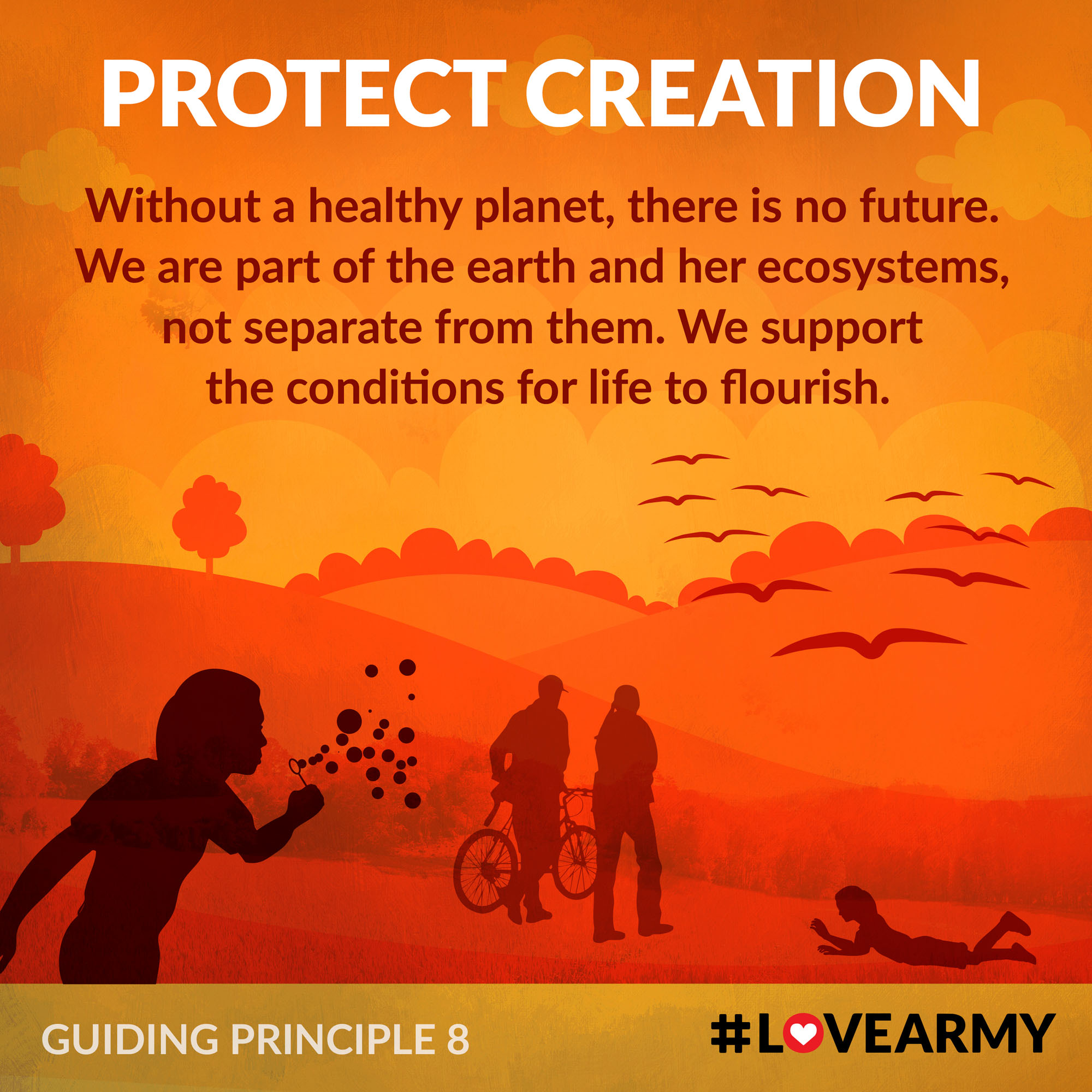 View Full Screen Protect Creation