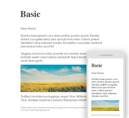 eblast_basic.png