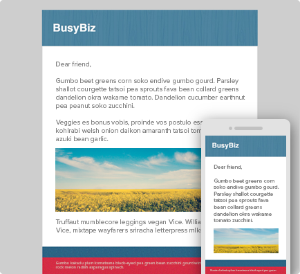 eblast_busybiz.png
