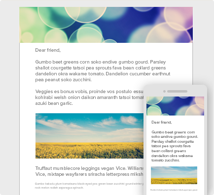 eblast_newsletter.png