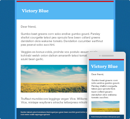 eblast_victory_blue.png