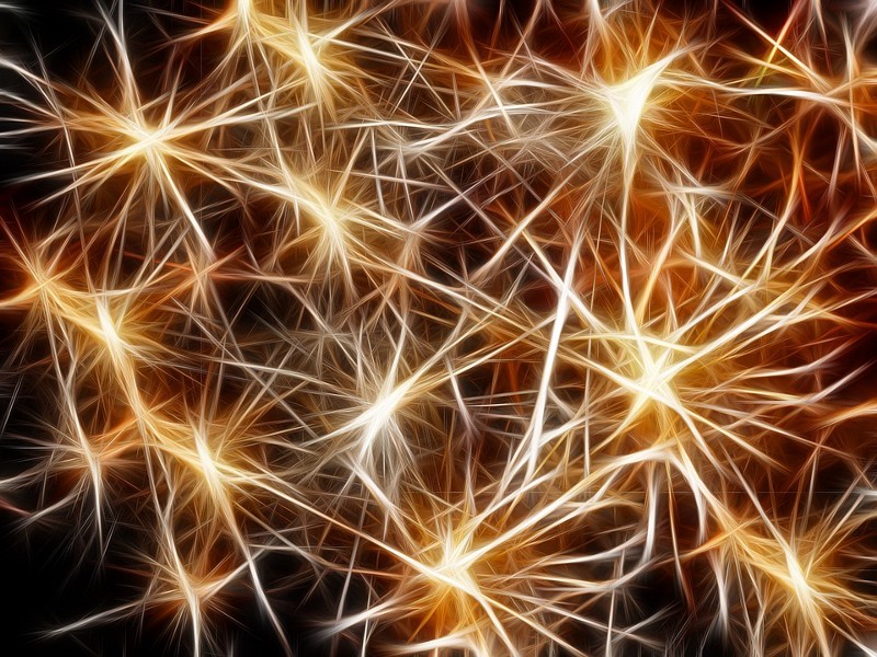 network_synapse.jpeg