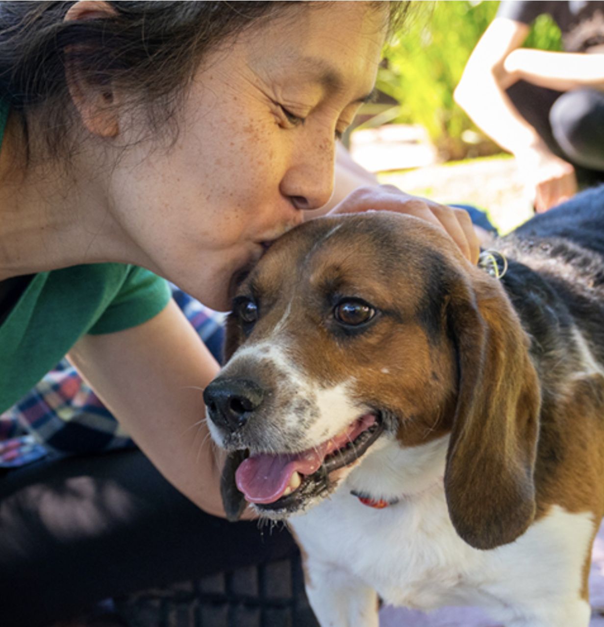 beaglefreedomproject quote