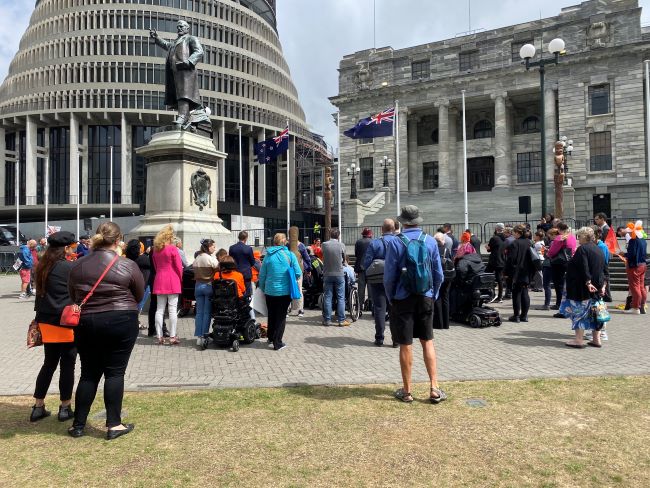 Campaigners at NZ Parliament buildings