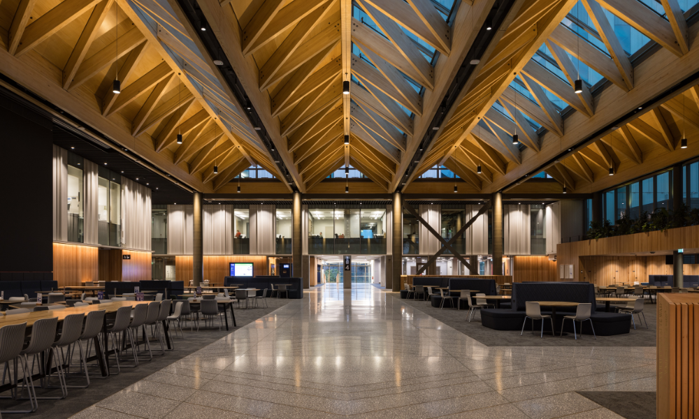 B201 project by Becca