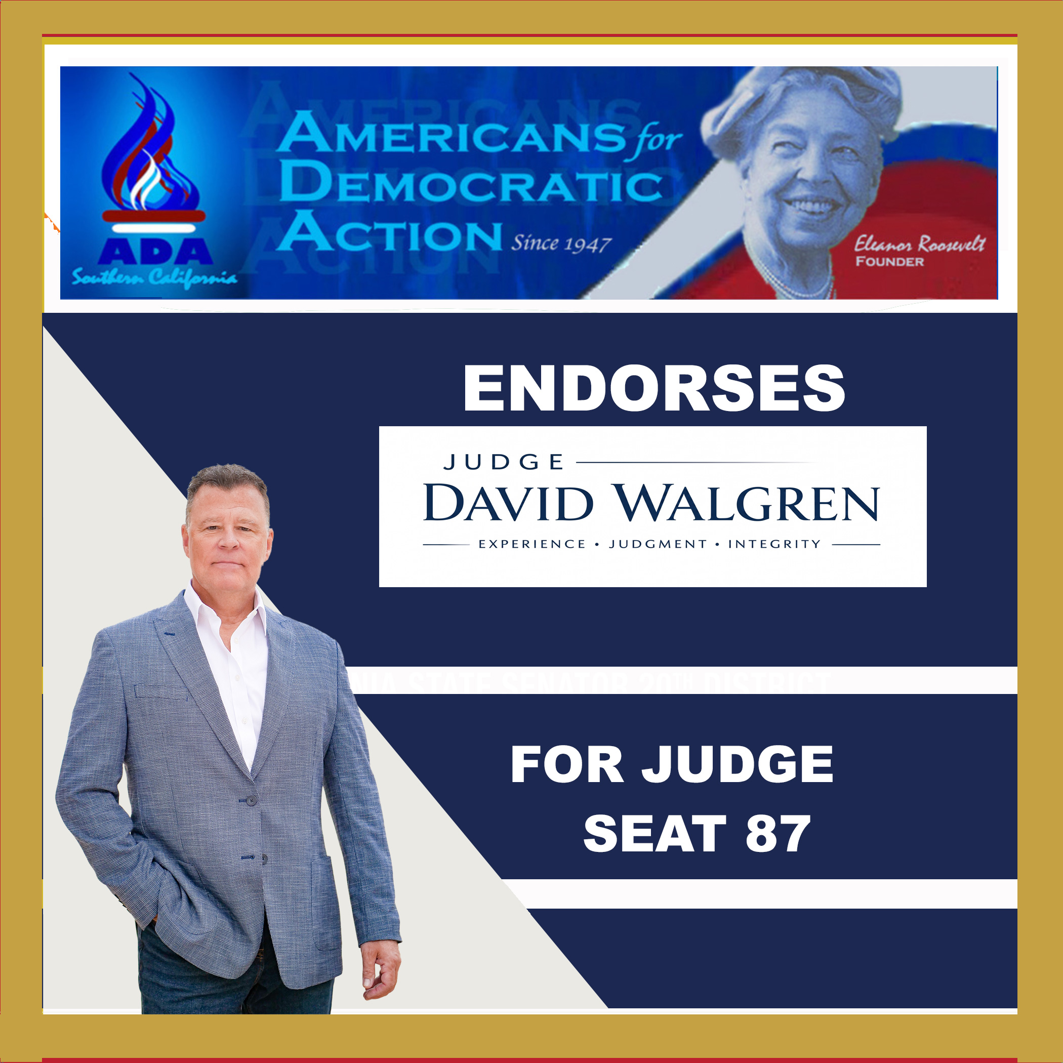 David Walgren for Judicial Seat 87