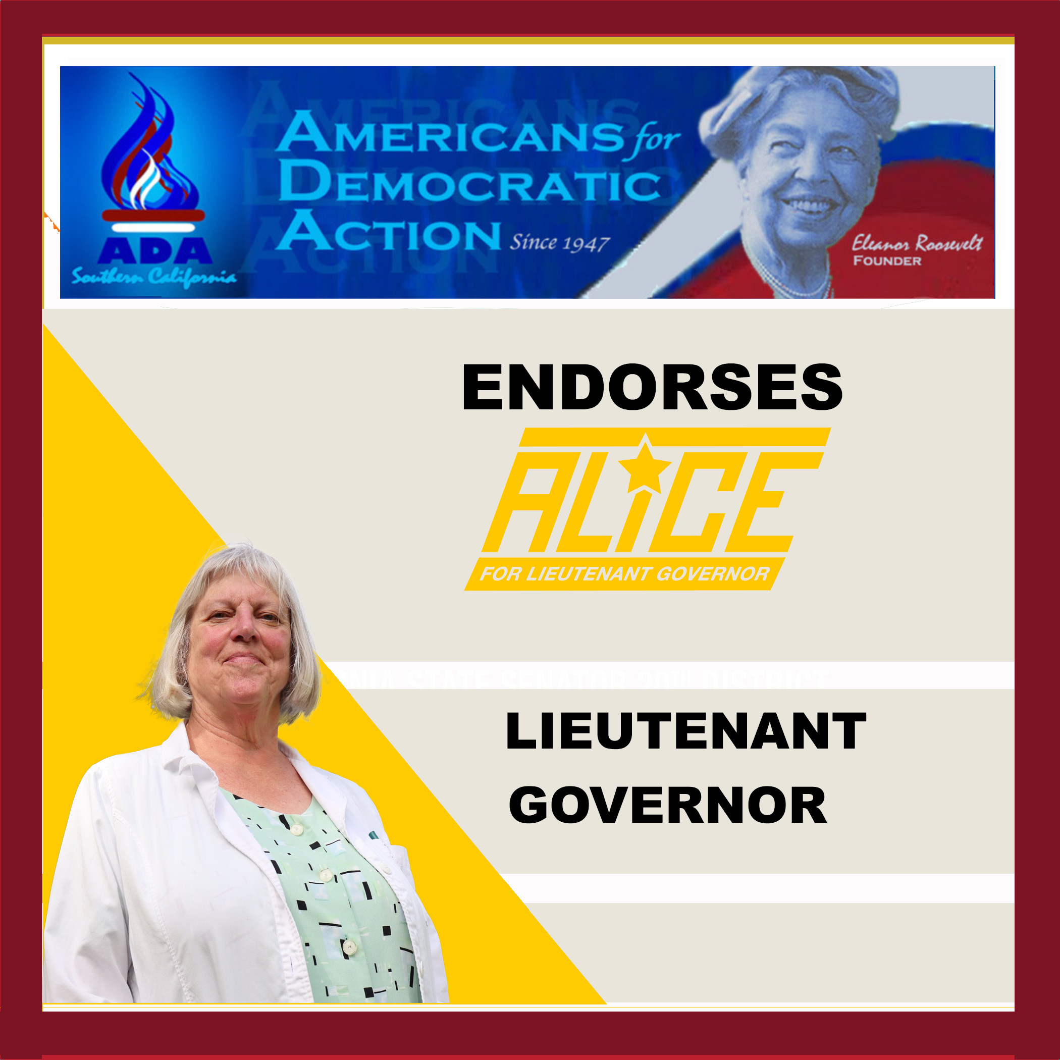 Alice Stek for Lieutenant Governor