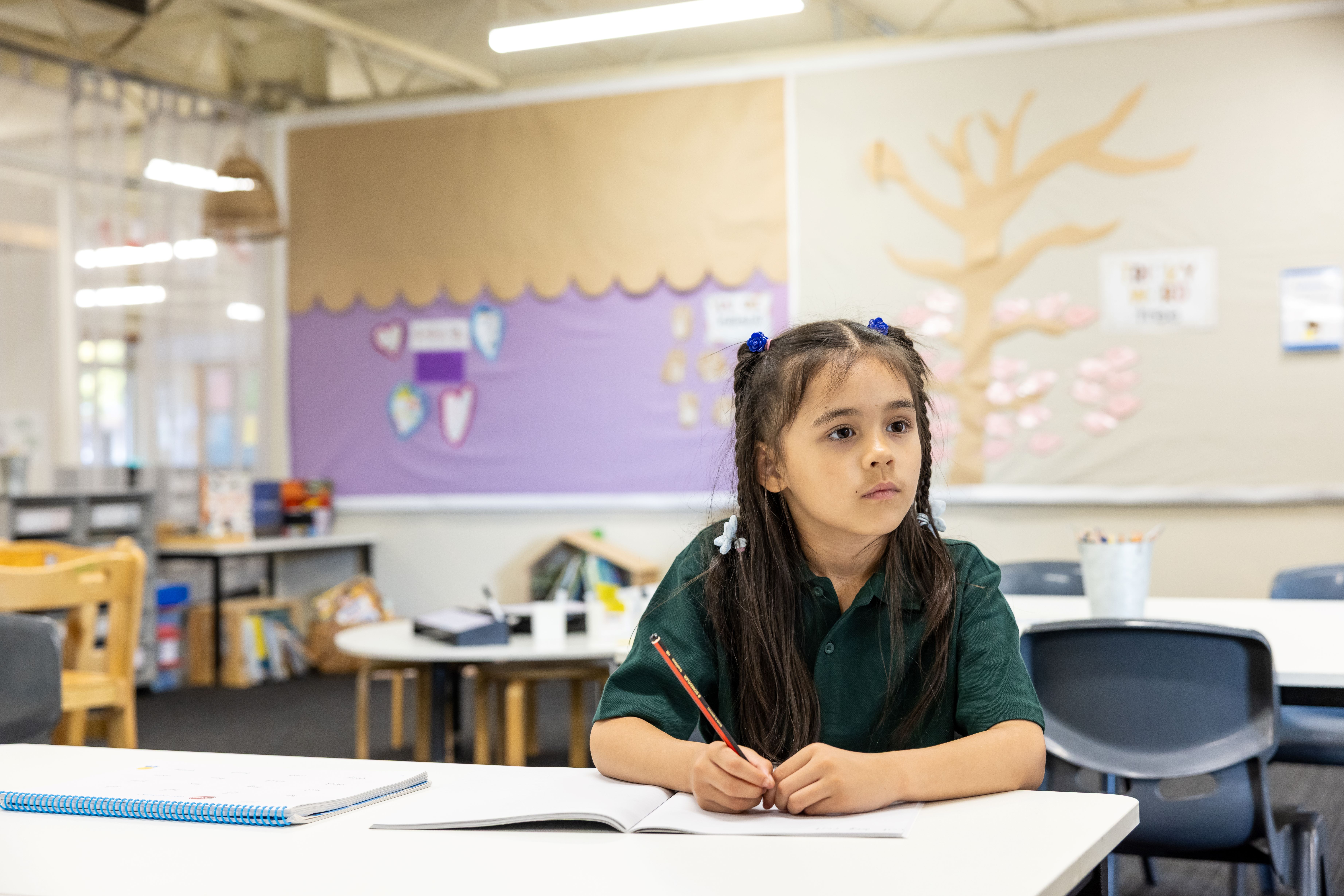 AUSTRALIA LAGS BEHIND OTHER OECD COUNTRIES IN PUBLIC SCHOOL FUNDING