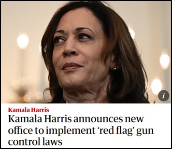 Kamala Harris Announces National ‘Red Flag’ Center!
