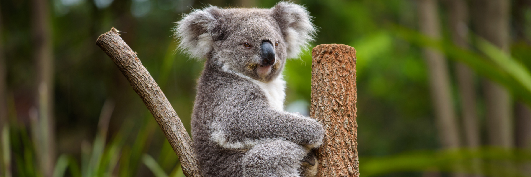 Preserving Our Habitat