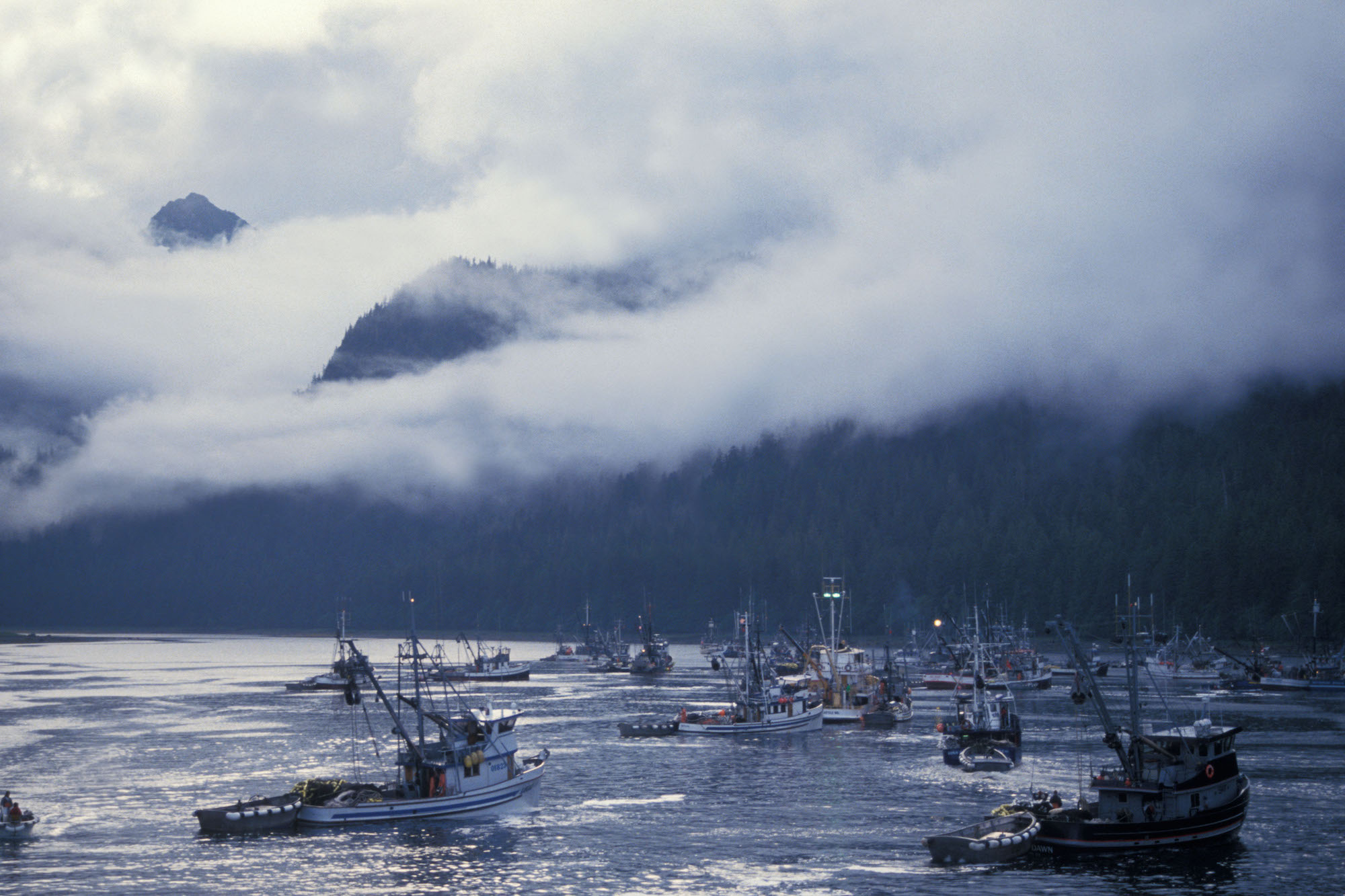 Hear from Local Voices