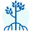 mangrove-icon.png