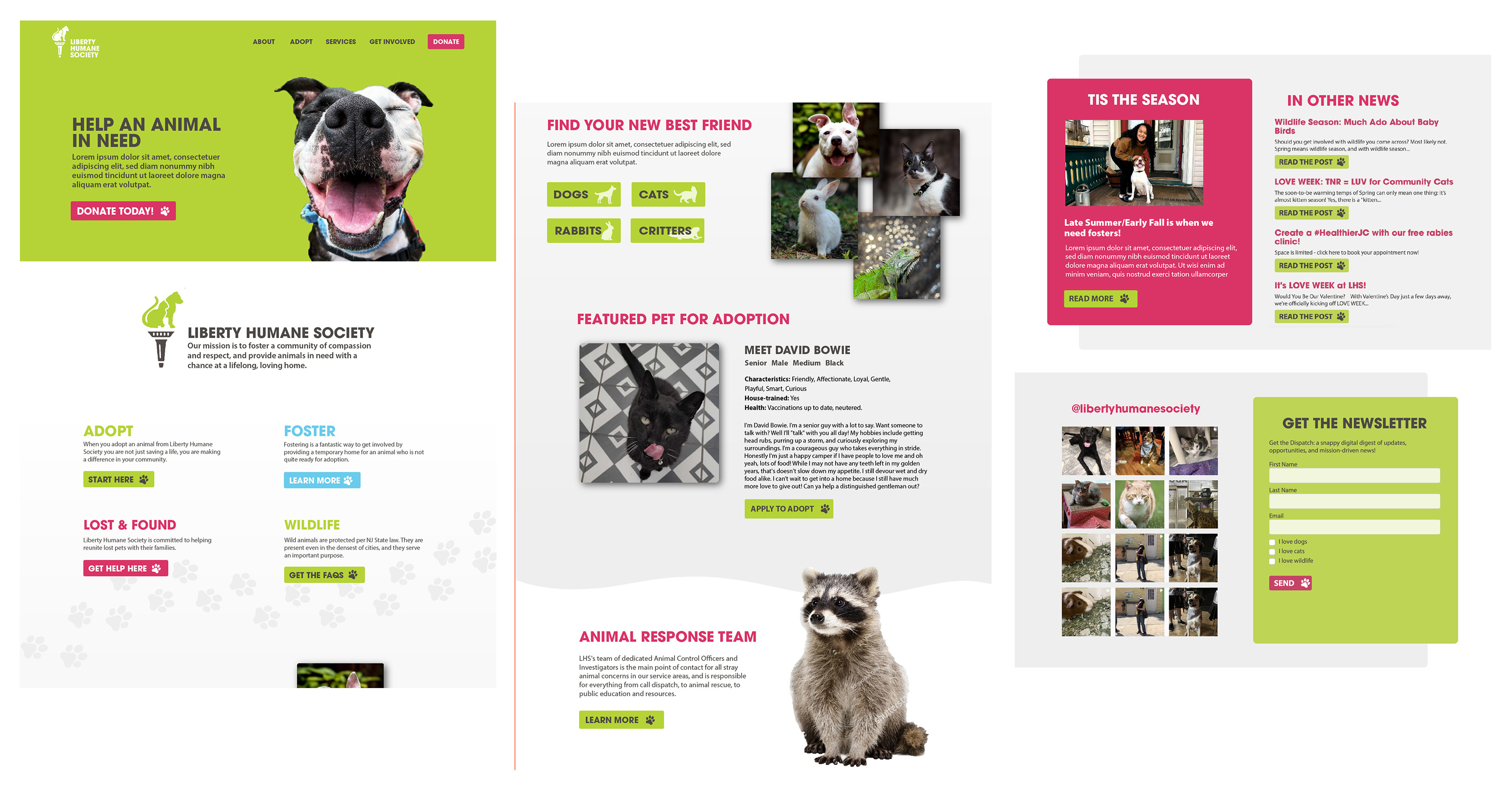 Playful Design for Playful Pups...and Cats, and Hamsters, and Raccoons 