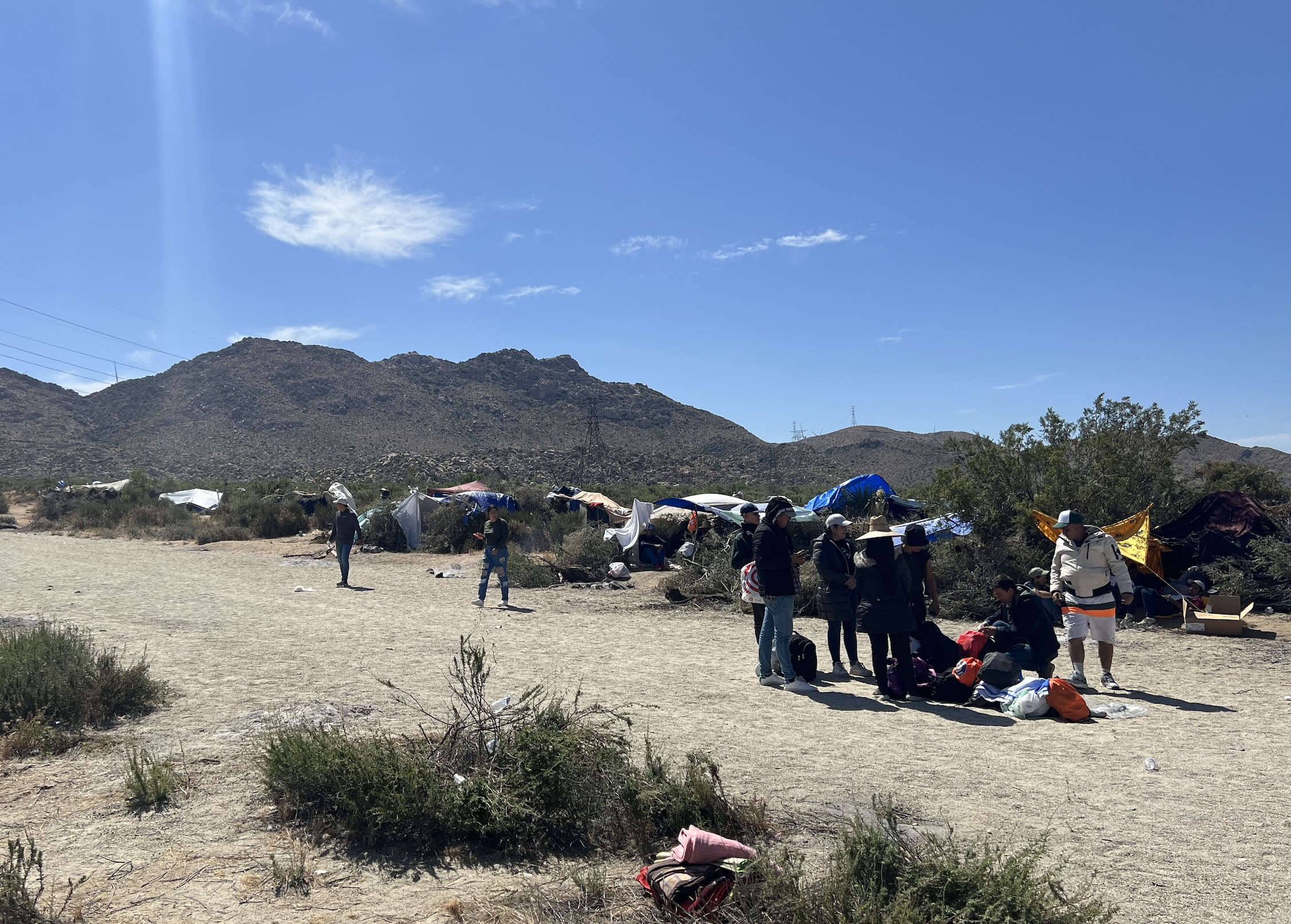 Mikaela Testa: Us Border Detainment Details - arhl5zb