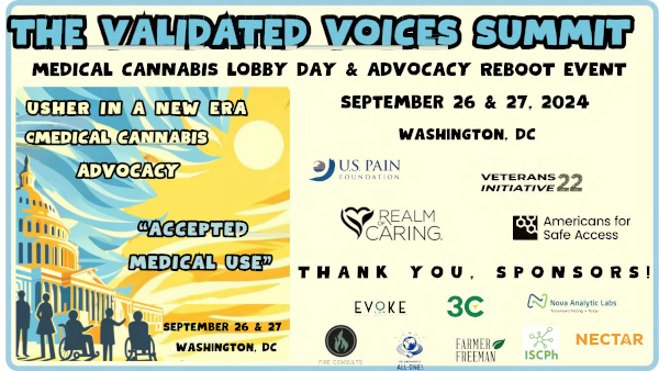 Validated Voices event Flyer