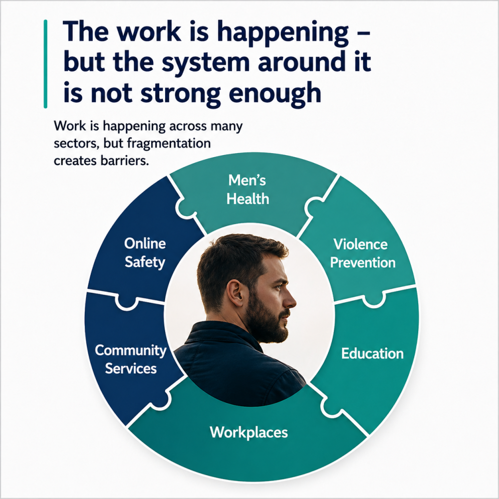Pillars of the Men's Health Industry The work is happening - but the system around it is not strong enough