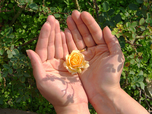 open flower in hand
