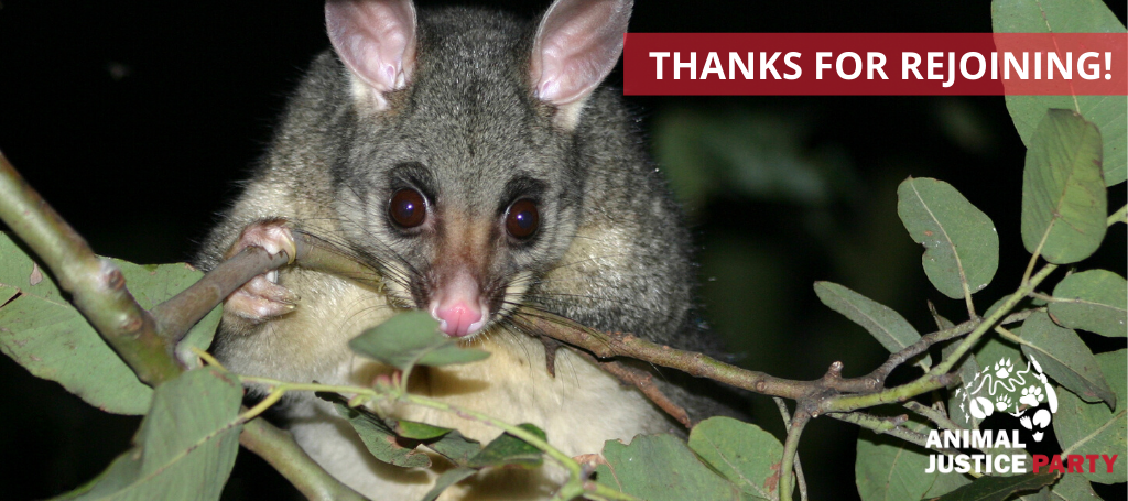 Thanks for rejoining the fight for ALL animals