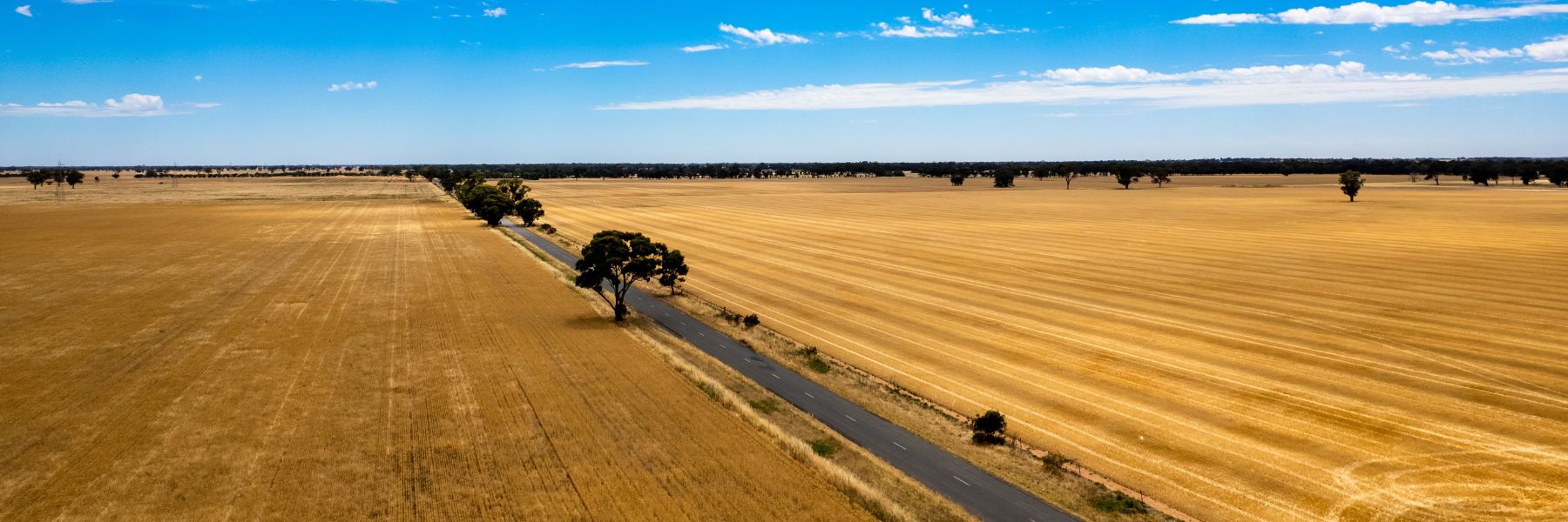 Meetings, Events & Volunteering Info for Northern Victoria Region