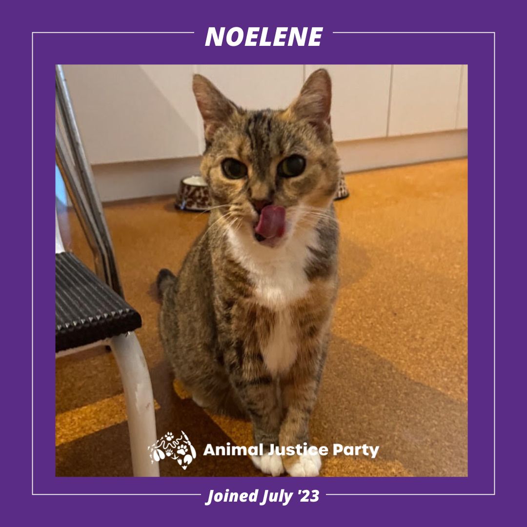 In kind, loving and fun memories of Noelene Oct 08 to Jun 25