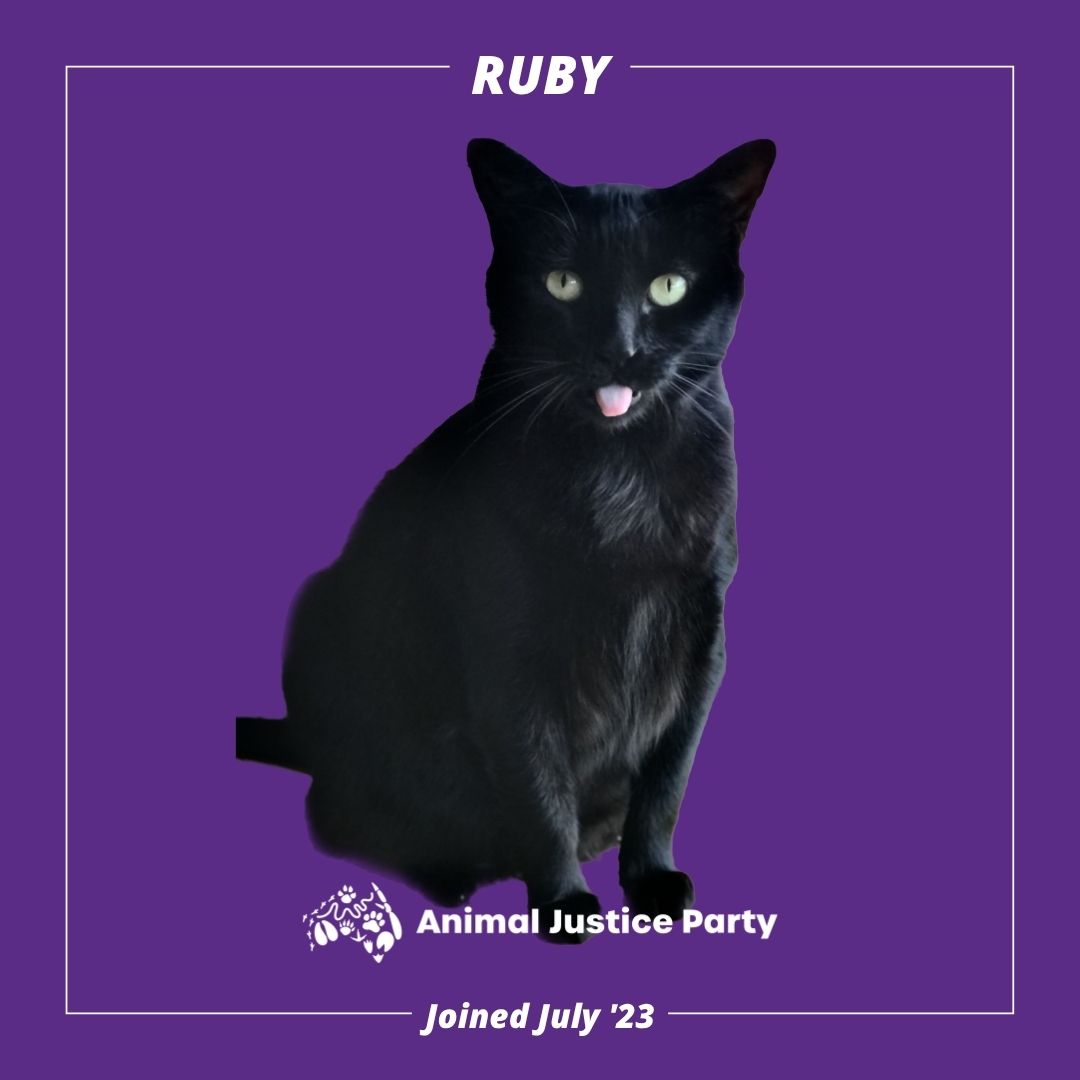 Much loved companion of our State Convenor. Gone too soon x