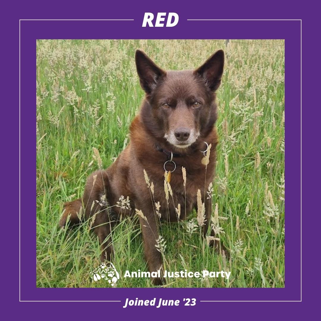 Red was much loved and forever missed