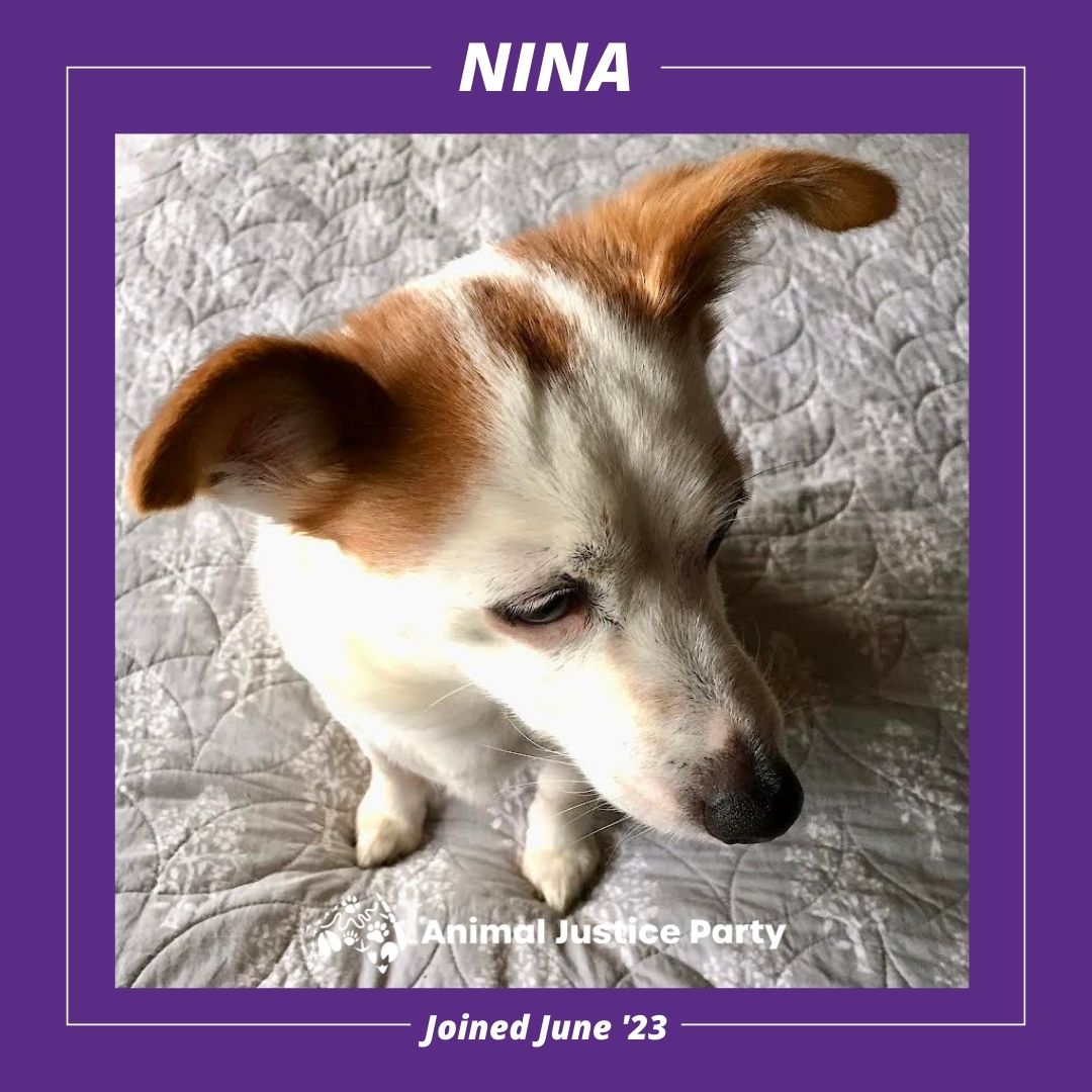 Nina brought nothing but joy and was cherished by many