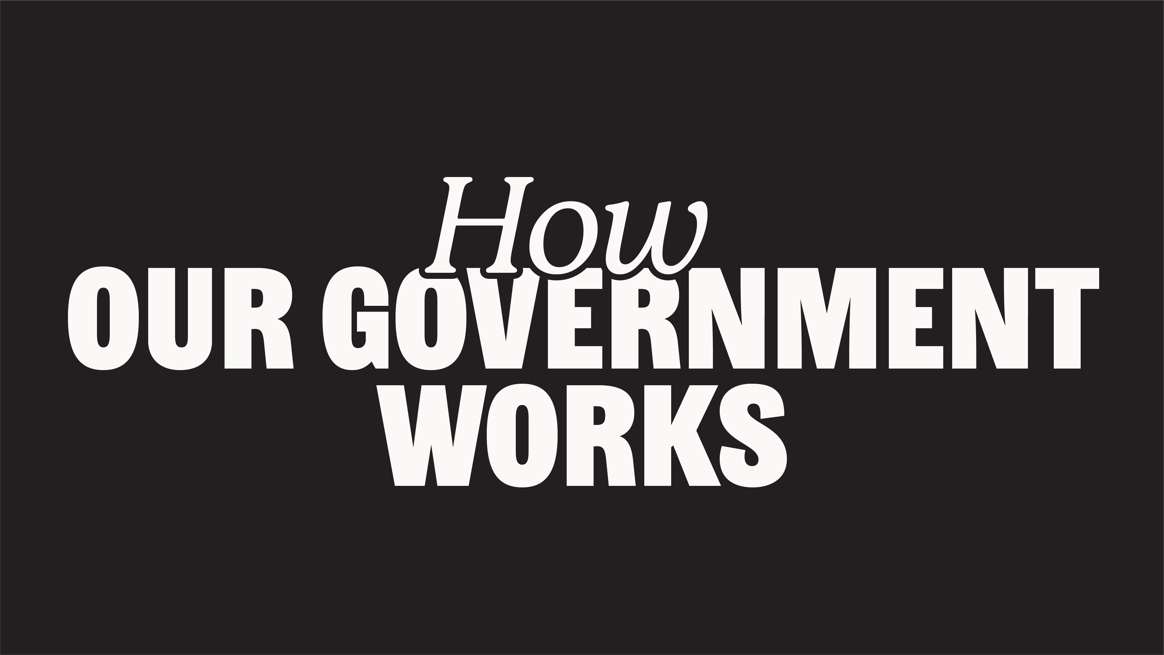 How Government Works