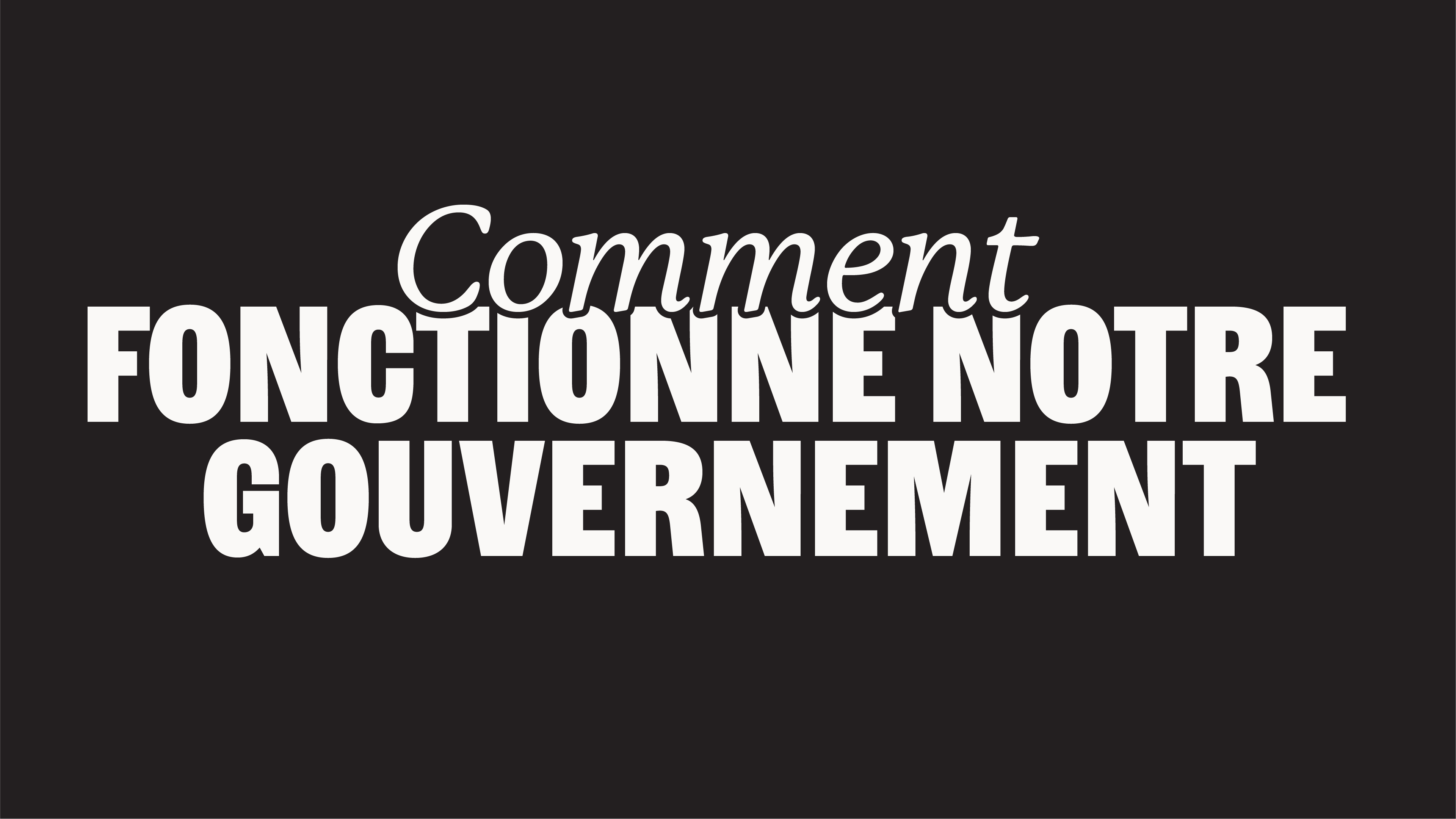 Comment fonctionne le gouvernement