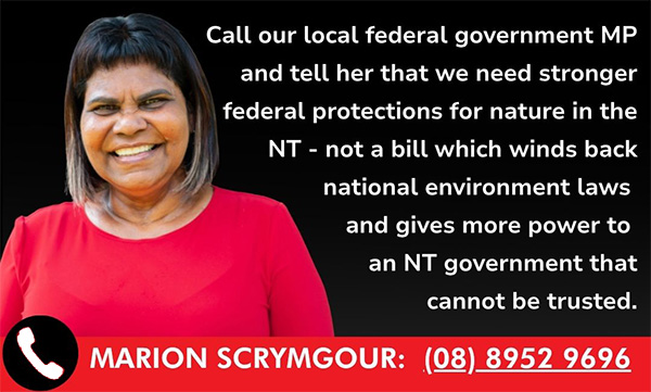 tile urging to call marion scrymgour on 89529696