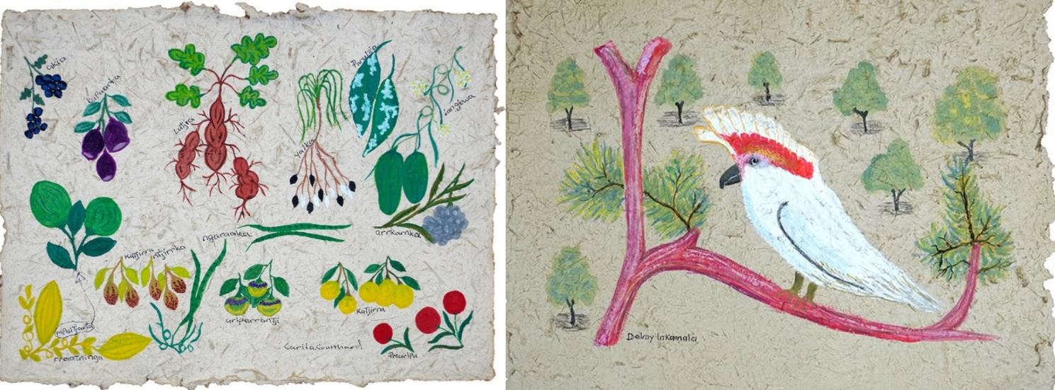 Desert Mob 2026: Nurnaka Urrkaapuntja Tharrka, Paintings on Buffel Grass Paper Published