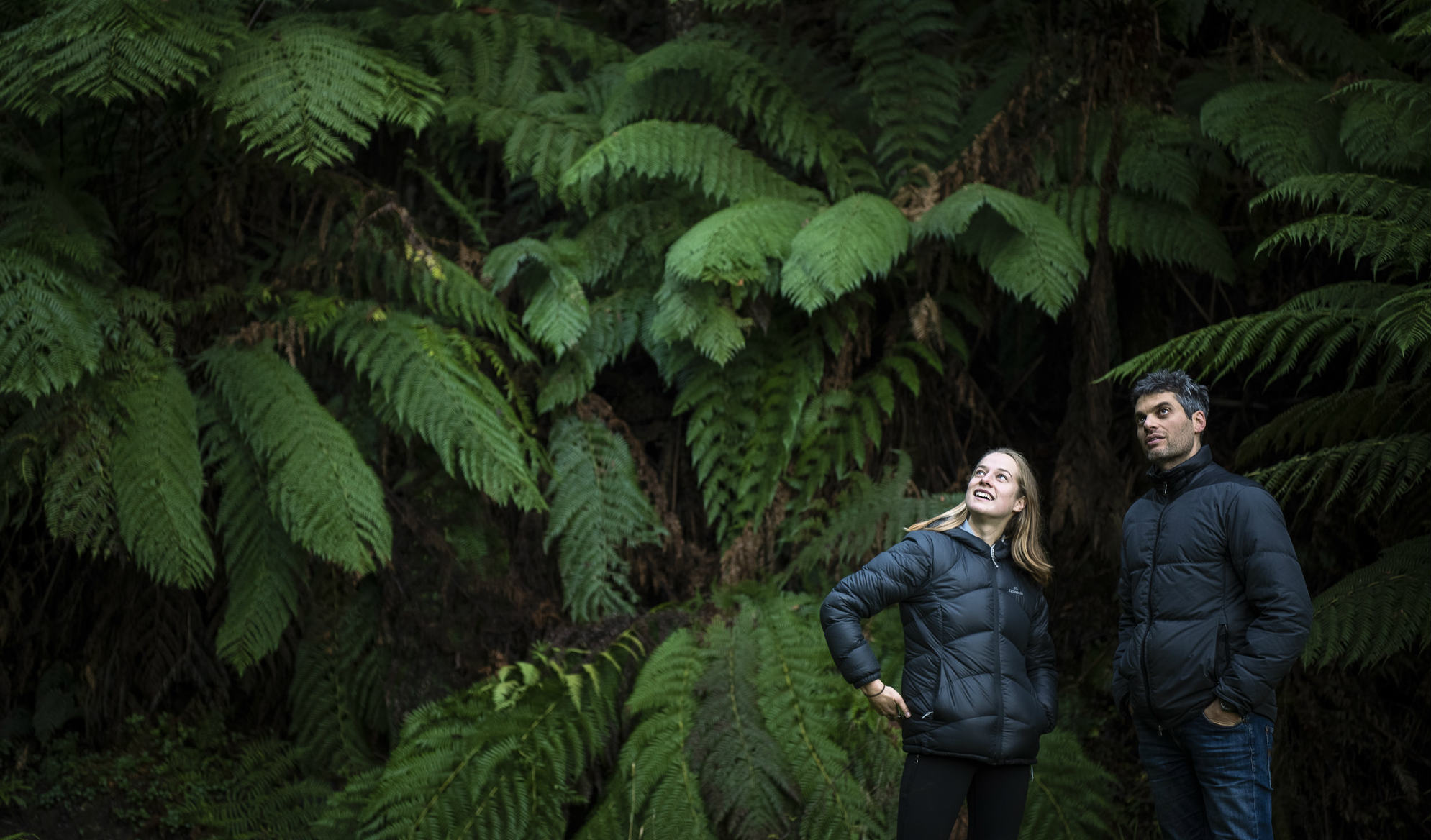 REPORT