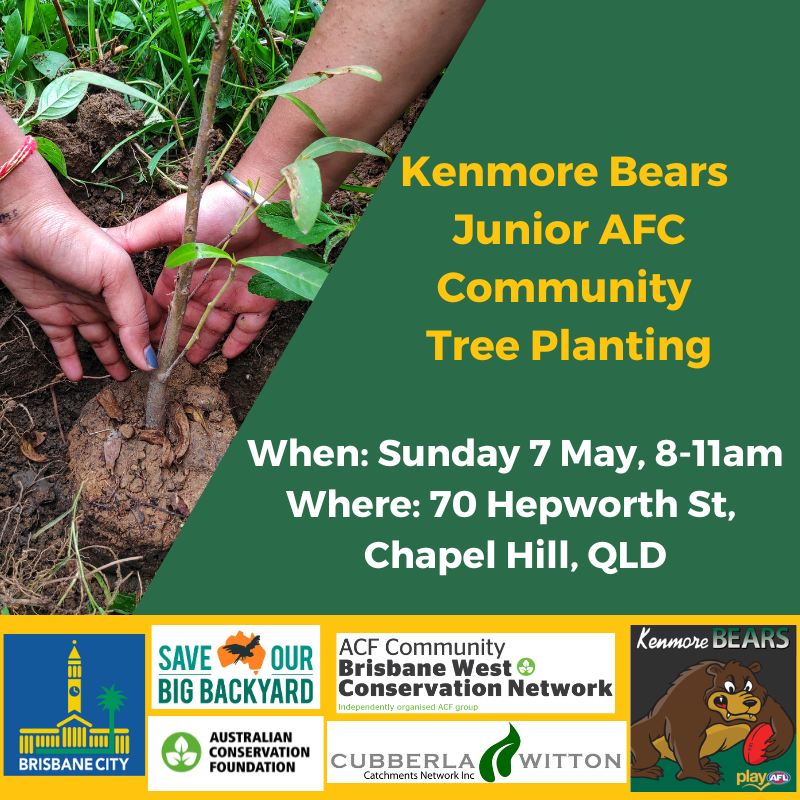 Chapel Hill, QLD Community tree planting event 🌱