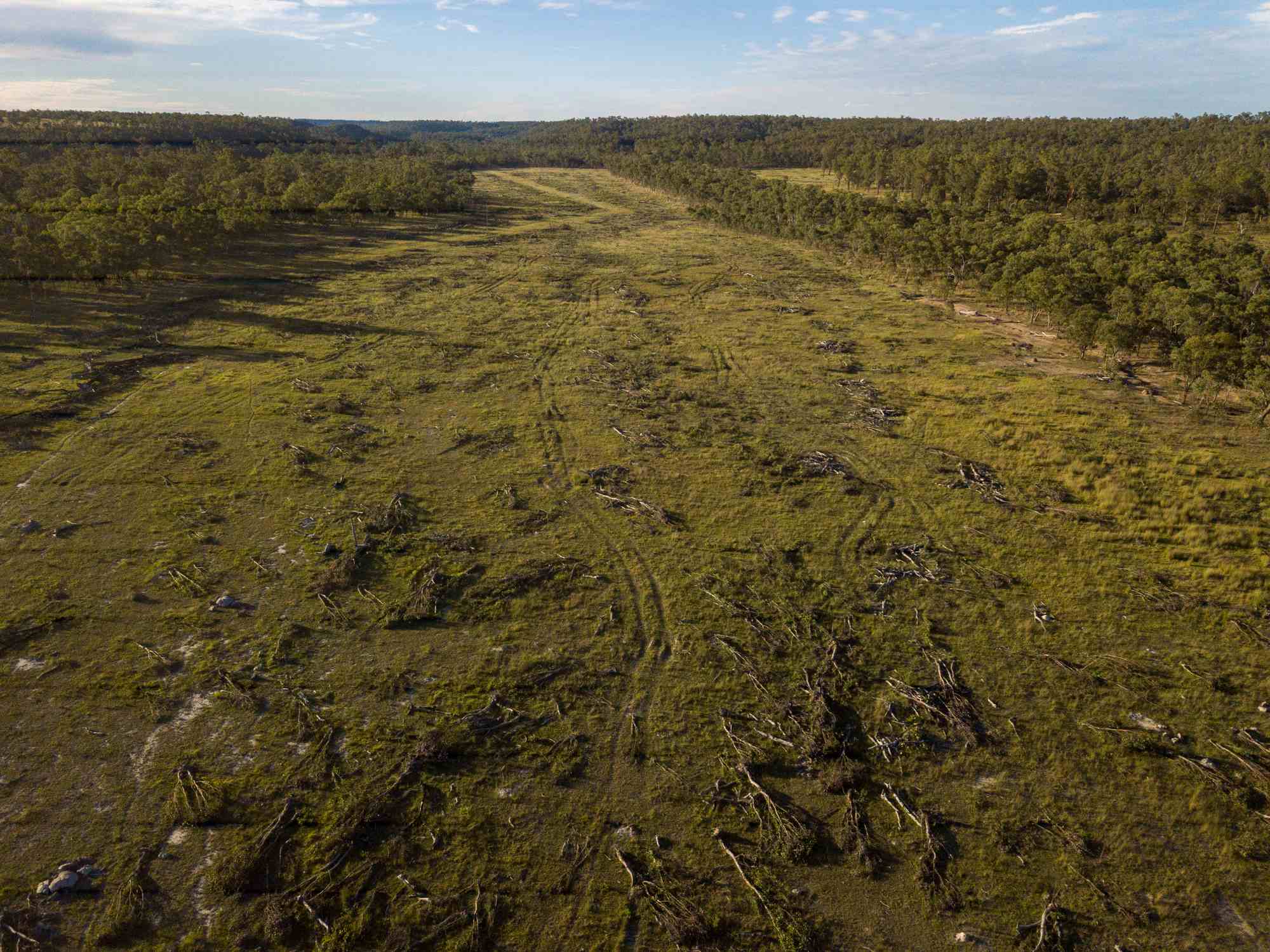 What's causing nature destruction in Australia? Australian