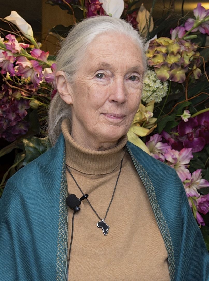 Dr Jane Goodall