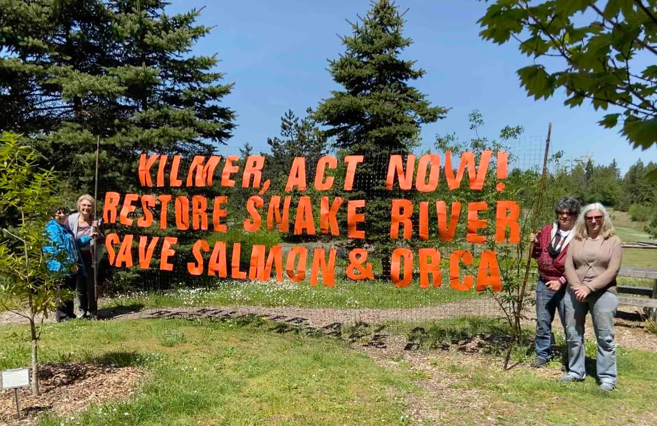 Breach the Dams and Restore Snake River!