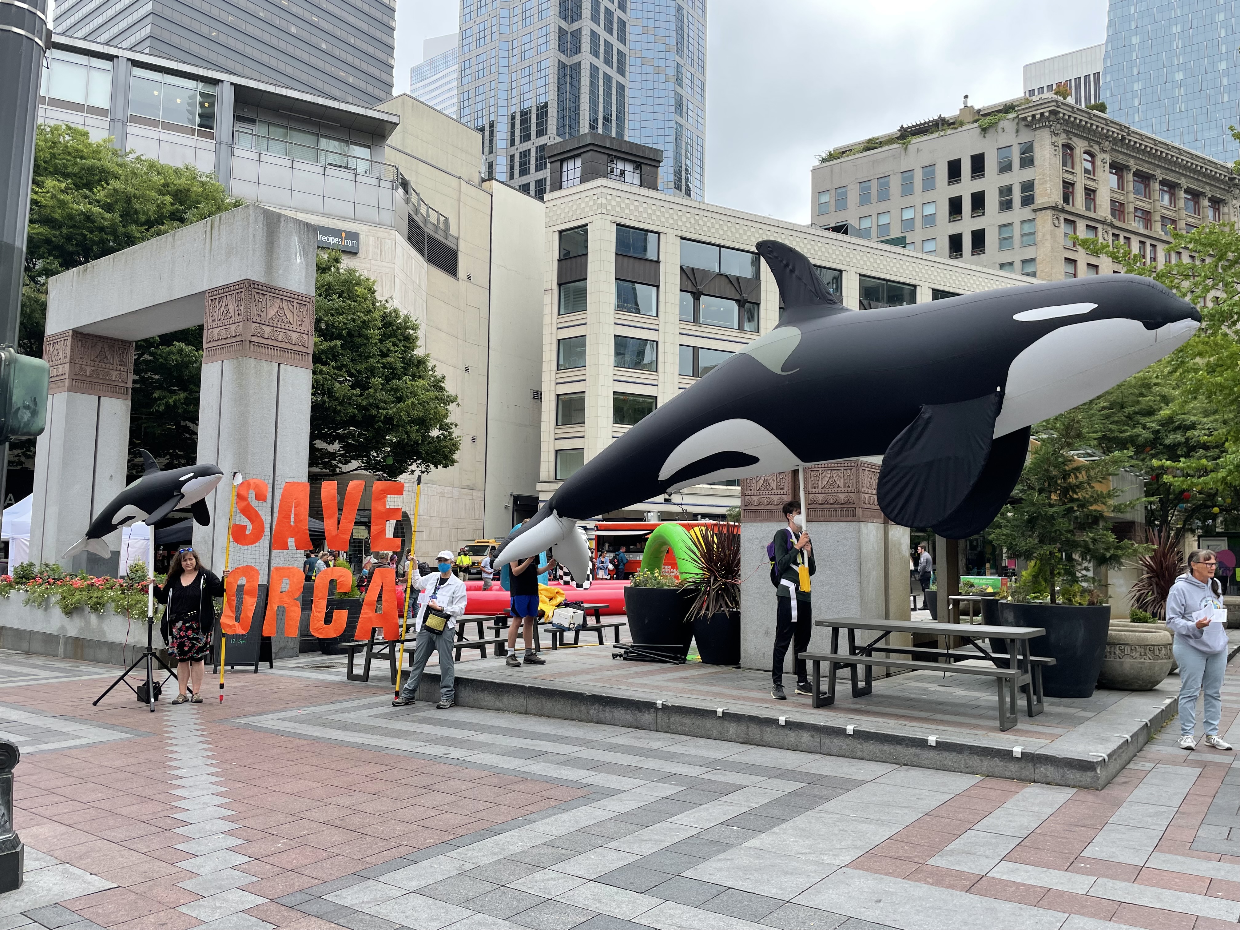 World Orca Day 2021