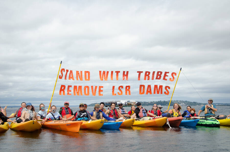 Backbone In the News: An Upstream Paddle To Save the Salmon
