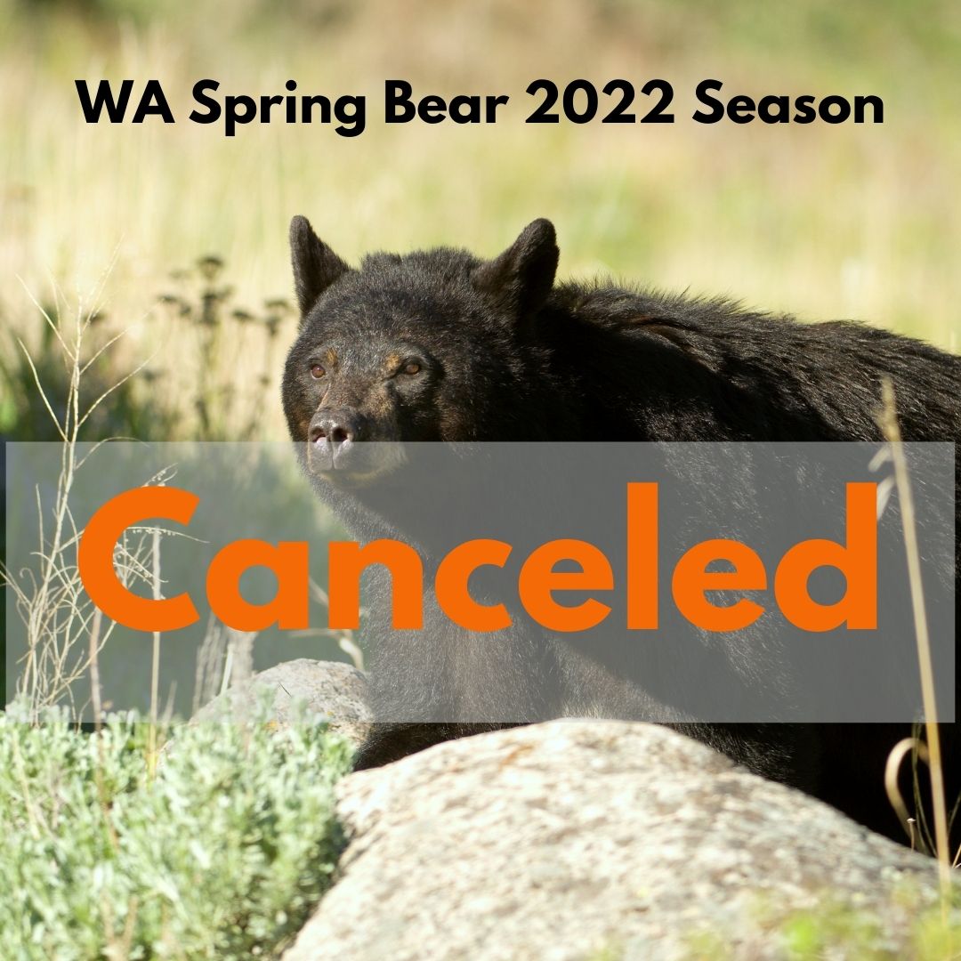 Spring Bear is only the Beginning Backcountry Hunters and Anglers