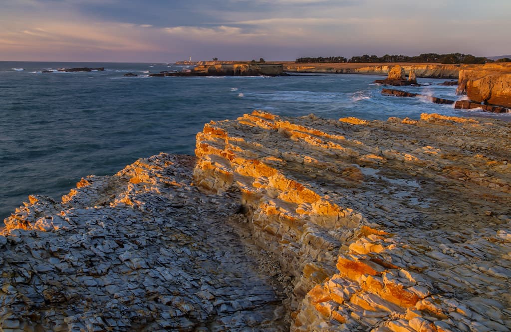 point arena habitat restoration