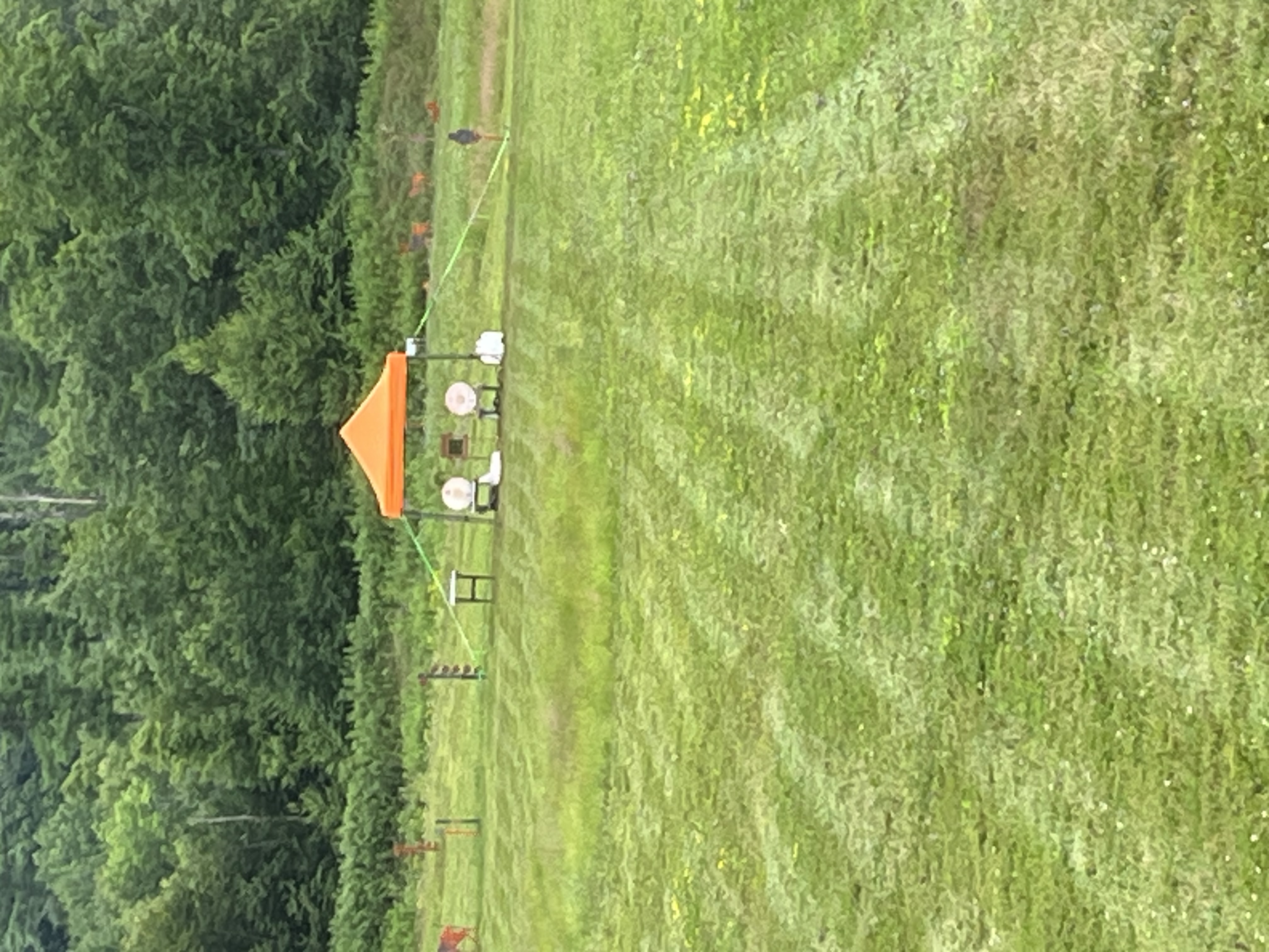 IMG_7673.jpeg