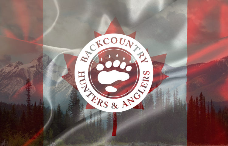 BC Chapter Winter 2026 Newsletter