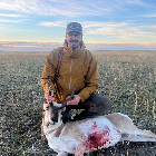 Profile picture for 7742