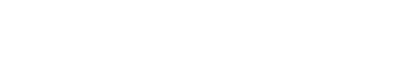 BizRebuild