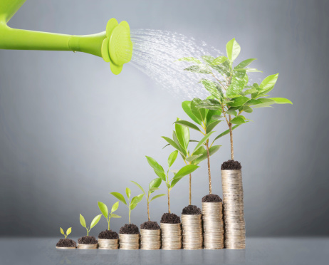 grow_your_wealth.jpg