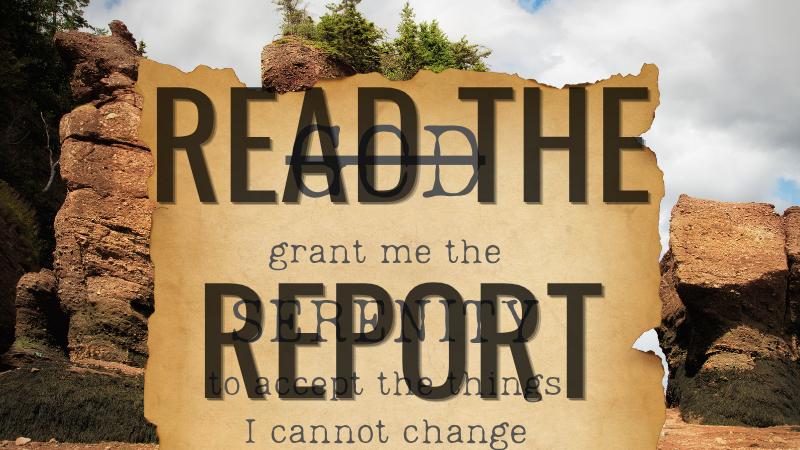 Read the report