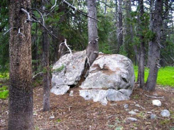 Nature_is_as_Nature_does.jpg Nature_is_as_Nature_does.jpg