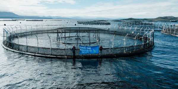 Macquarie Harbour fish pen