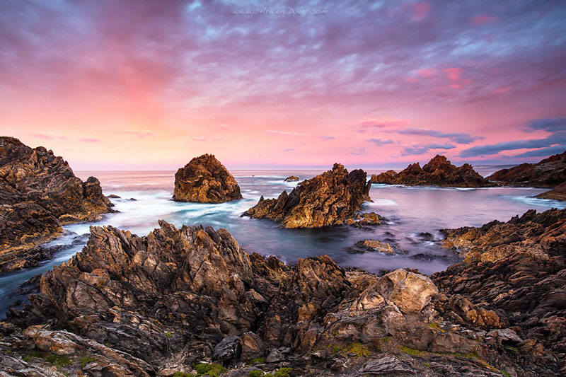 Tarkine-by-Arwen-Dyer-small.jpg